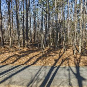 11-web-or-mls-DJI_0096