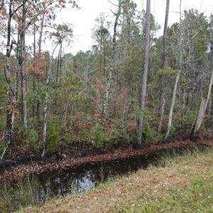 28 Acre 4