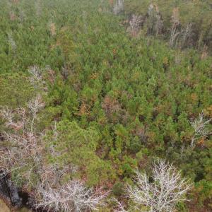 28 Acre 9