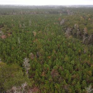 28 Acre 10