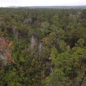 28 Acre 11