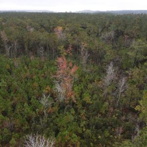 28 Acre 12