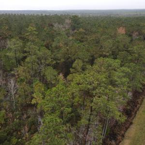 28 Acre 15