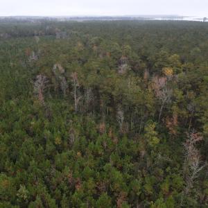 28 Acre 14