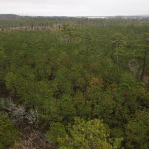 10 Acre 9