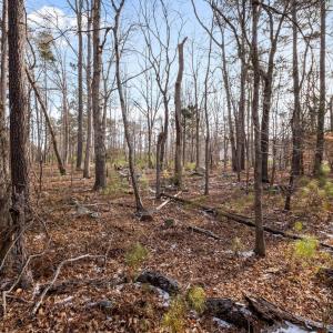 10-web-or-mls-P1102707