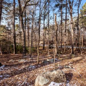 11-web-or-mls-P1102712