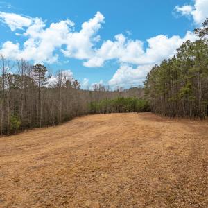 DJI_20260205121827_0070_D-HDR