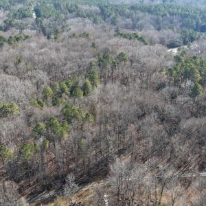 dji_fly_20260206_110216_0100_17704122449