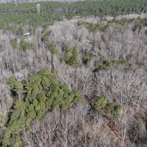 dji_fly_20260206_110348_0111_17704122409