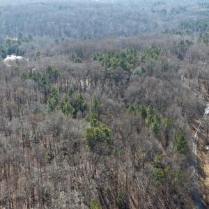 dji_fly_20260206_110442_0120_17704122379