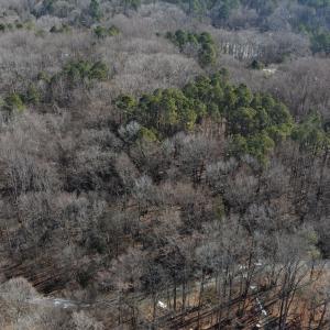 dji_fly_20260206_104758_0082_17704122507