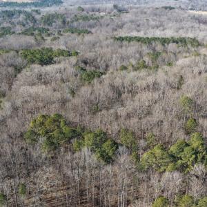 dji_fly_20260206_105536_0090_17704122481