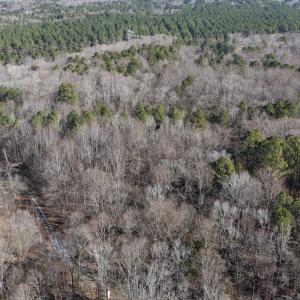 dji_fly_20260206_105640_0095_17704122465