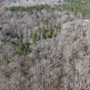 dji_fly_20260206_110318_0107_17704122423