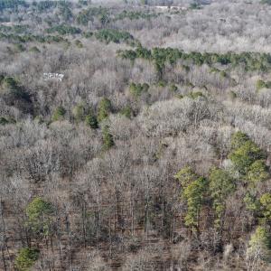 dji_fly_20260206_110504_0125_17704122363