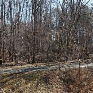 dji_fly_20260206_110818_0134_17704122335