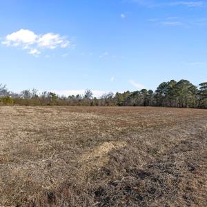 13-web-or-mls-IMG_2478