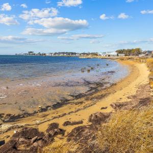 4-web-or-mls-1S3A9722