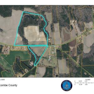 NC42 Hwy Pinetops pic