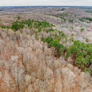 03-014-2310BowersStoreRd-Tract-02-202601