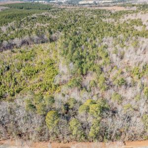 004-3412MoncurePittsboroRd-Chatham-Parce