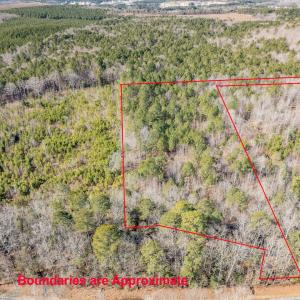 003-3412MoncurePittsboroRd-Chatham-Parce