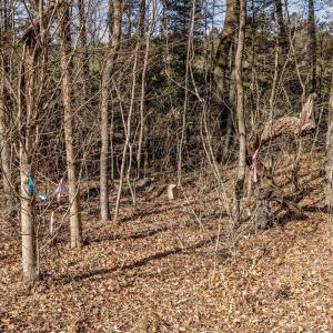 016-3412MoncurePittsboroRd-Chatham-Parce