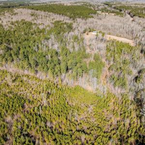 011-3412MoncurePittsboroRd-Chatham-Parce