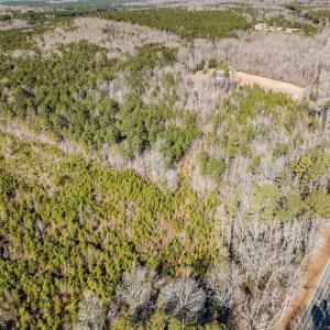 006-3412MoncurePittsboroRd-Chatham-Parce