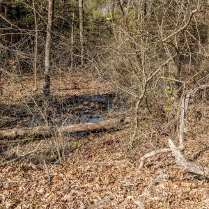 017-3412MoncurePittsboroRd-Chatham-Parce