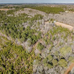 005-3412MoncurePittsboroRd-Chatham-Parce