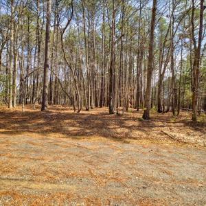 19-7500 Rusty Spur Ln