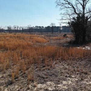 dji_fly_20260206_112504_0234_17703957992