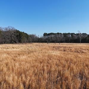 dji_fly_20260206_112542_0238_17703957938