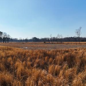 dji_fly_20260206_112642_0241_17703957891