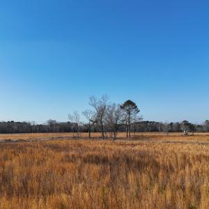 dji_fly_20260206_112924_0245_17703957821