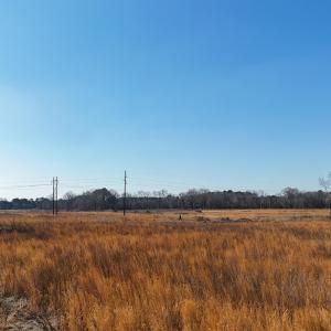 dji_fly_20260206_112928_0246_17703957817