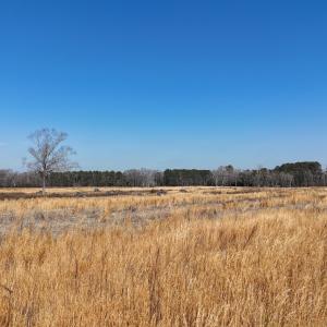 dji_fly_20260206_113318_0258_17703957591