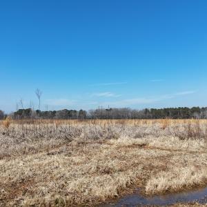 dji_fly_20260206_113438_0261_17703957563