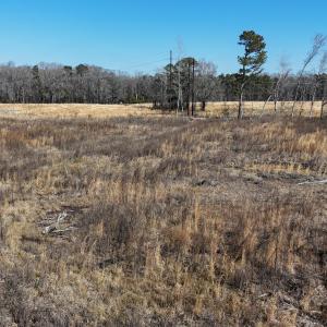 dji_fly_20260206_112442_0233_17703958004