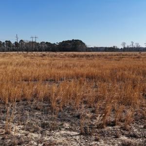 dji_fly_20260206_112508_0235_17703957973