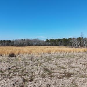 dji_fly_20260206_113102_0250_17703957723