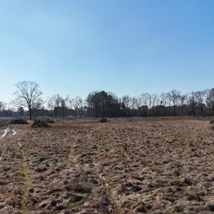 dji_fly_20260206_113122_0252_17703957716