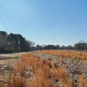 dji_fly_20260206_113152_0253_17703957713