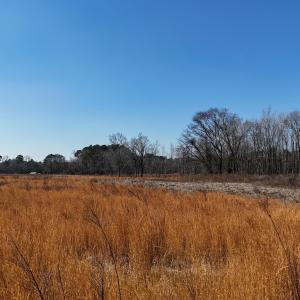 dji_fly_20260206_113328_0259_17703957581