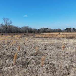 dji_fly_20260206_113446_0262_17703957555