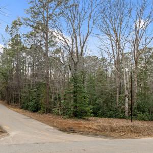 11-web-or-mls-DJI_0013