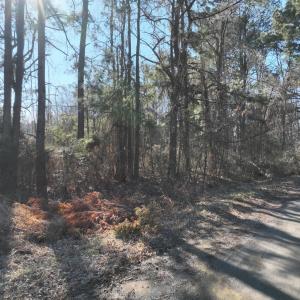 DJI_20260210142131_0011_V