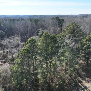 DJI_20260210142303_0012_V